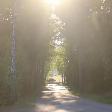 Lägenhet Einladende In Muellenborn Eifel