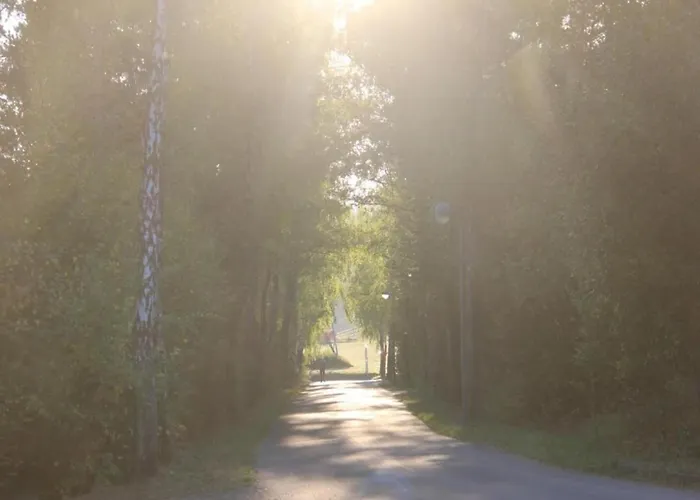 Appartement Einladende In Muellenborn Eifel